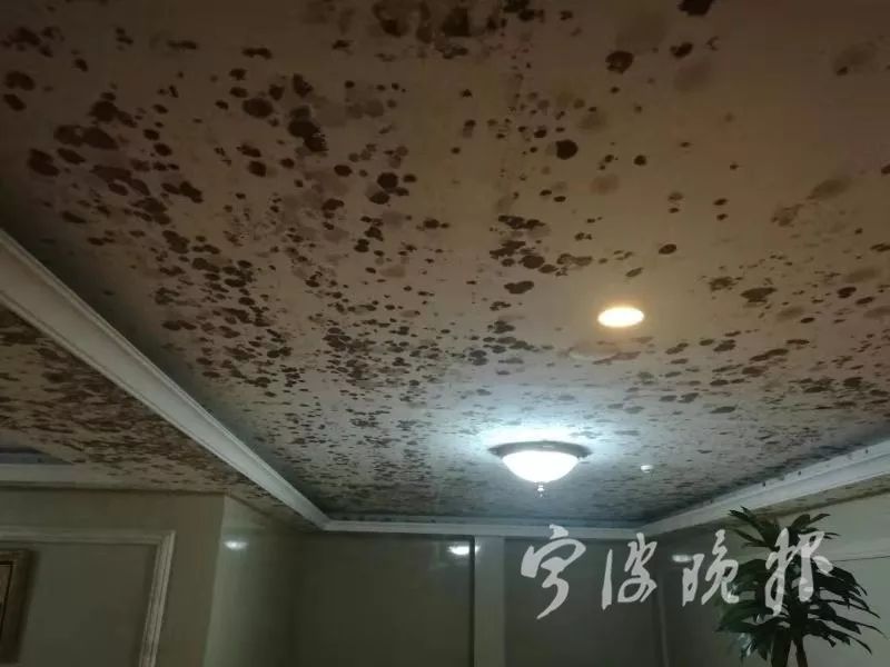 回南天氣梅雨季墻面受潮發(fā)霉用除濕機(jī)好嗎？