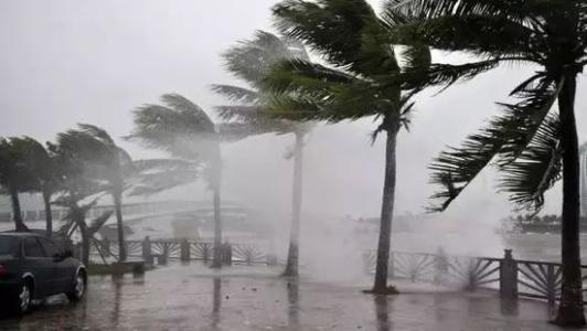 8月臺風雨即將來，除濕機還得用起來