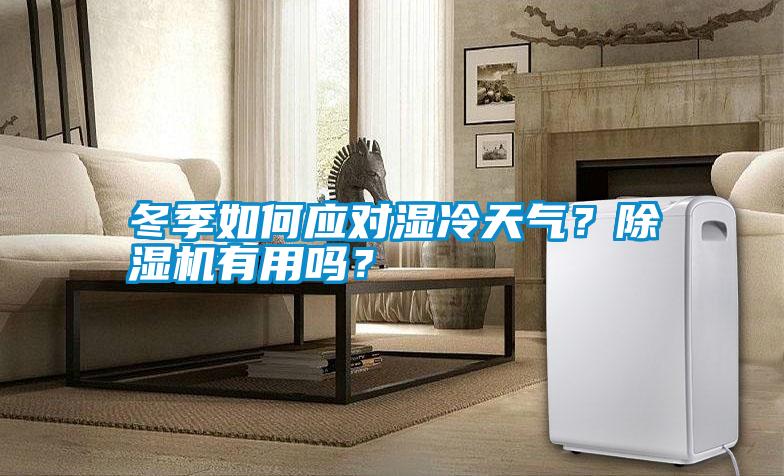 冬季如何應(yīng)對濕冷天氣？除濕機有用嗎？