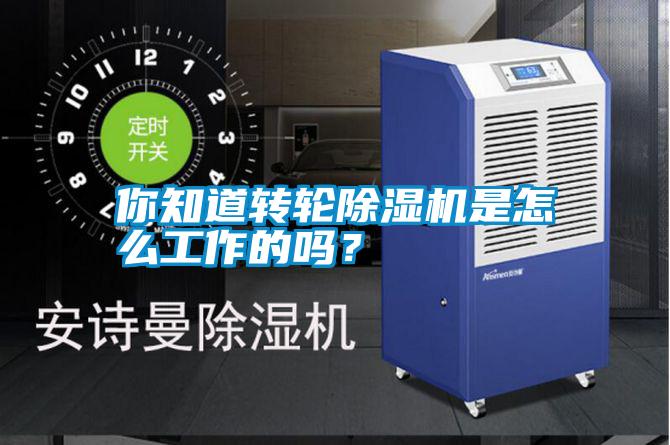 你知道轉(zhuǎn)輪除濕機是怎么工作的嗎？