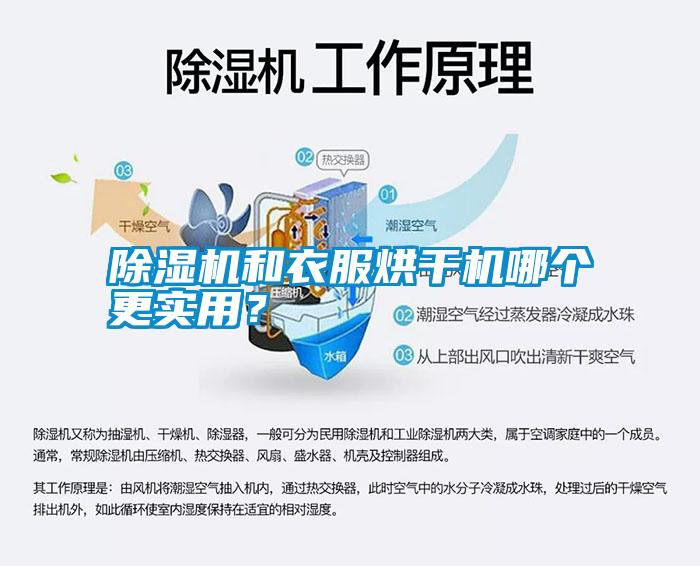 除濕機和衣服烘干機哪個更實用？