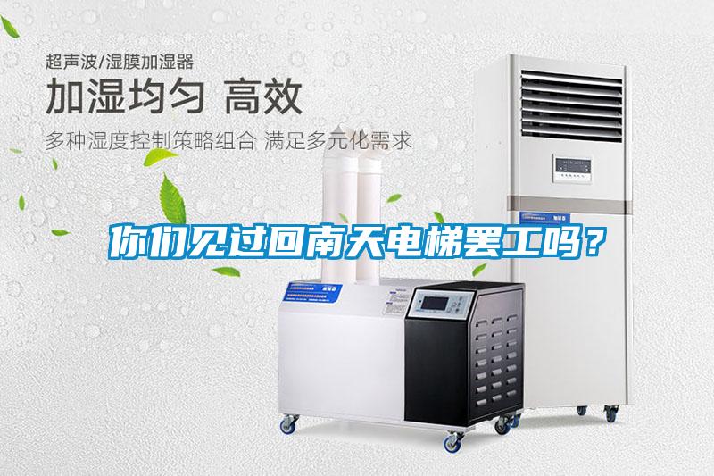 你們見過回南天電梯罷工嗎？
