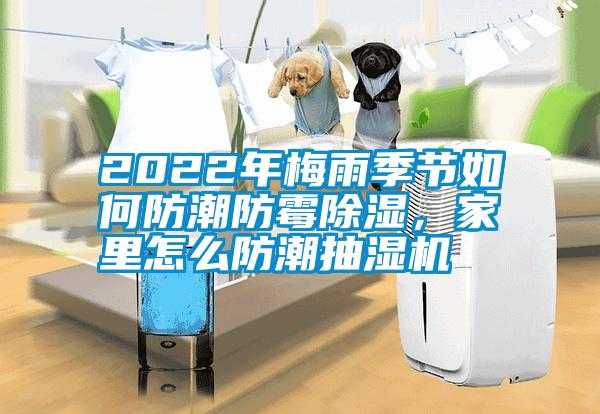 2022年梅雨季節(jié)如何防潮防霉除濕，家里怎么防潮抽濕機