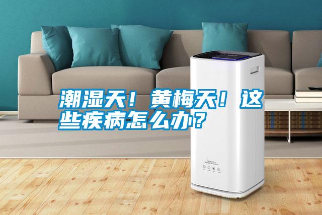 潮濕天！黃梅天！這些疾病怎么辦？