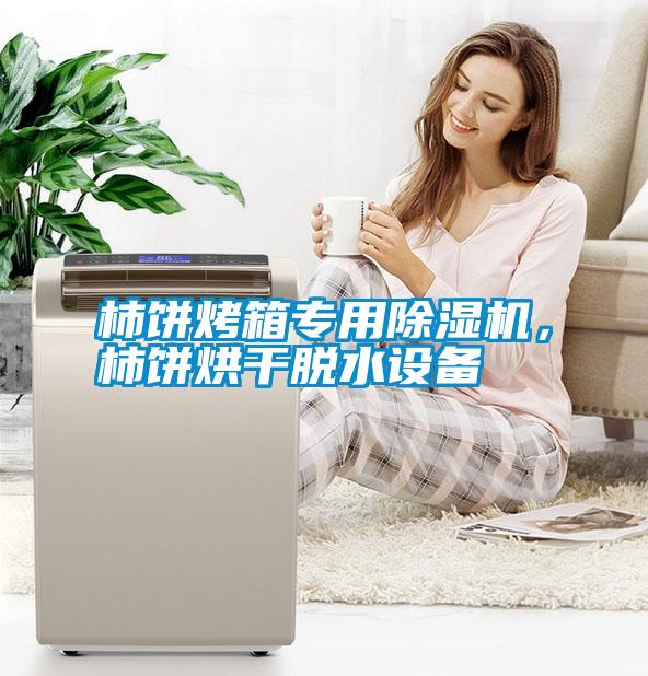 柿餅烤箱專用除濕機(jī)，柿餅烘干脫水設(shè)備