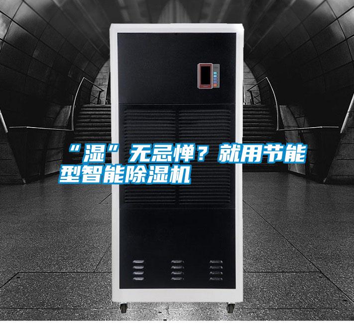 “濕”無(wú)忌憚？就用節(jié)能型智能除濕機(jī)