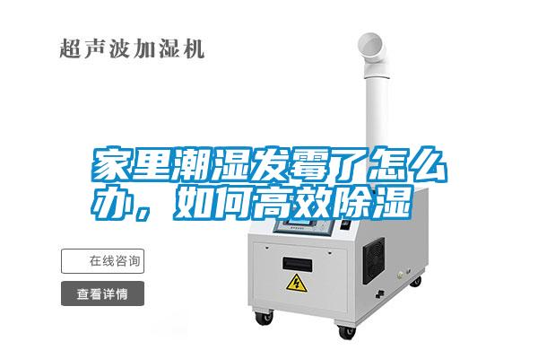 家里潮濕發(fā)霉了怎么辦，如何高效除濕