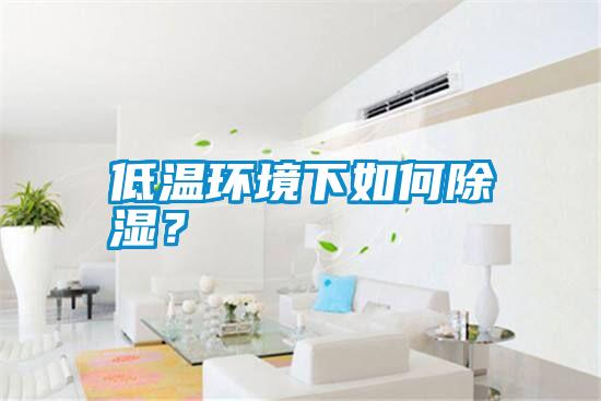 低溫環(huán)境下如何除濕？