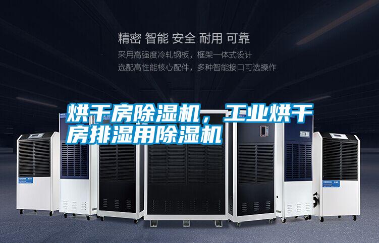 烘干房除濕機(jī)，工業(yè)烘干房排濕用除濕機(jī)