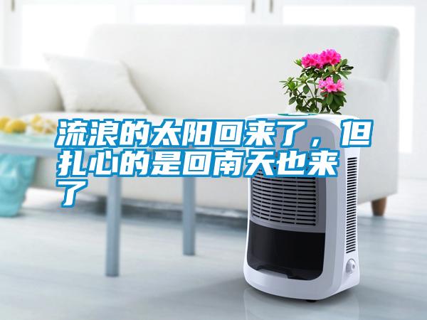 流浪的太陽回來了，但扎心的是回南天也來了