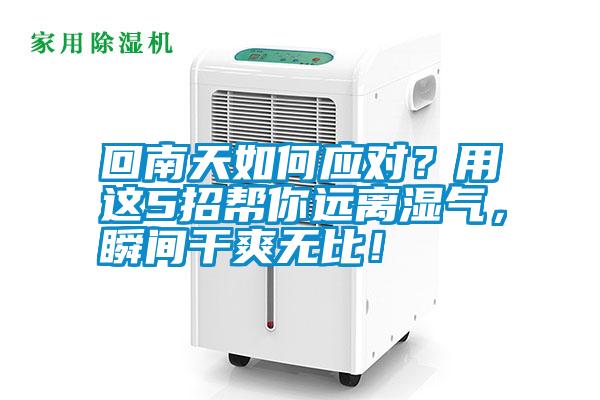 回南天如何應(yīng)對(duì)？用這5招幫你遠(yuǎn)離濕氣，瞬間干爽無(wú)比！