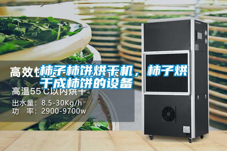 柿子柿餅烘干機(jī)，柿子烘干成柿餅的設(shè)備