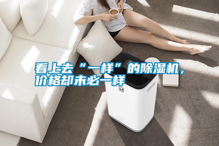看上去“一樣”的除濕機，價格卻未必一樣