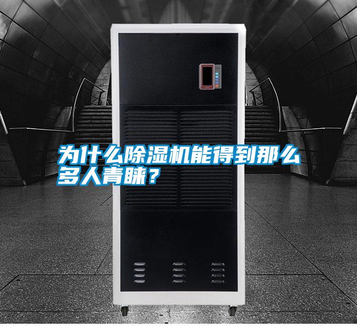 為什么除濕機能得到那么多人青睞？