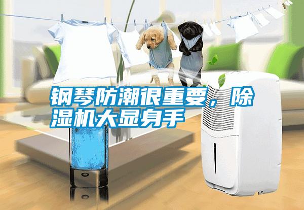 鋼琴防潮很重要，除濕機大顯身手