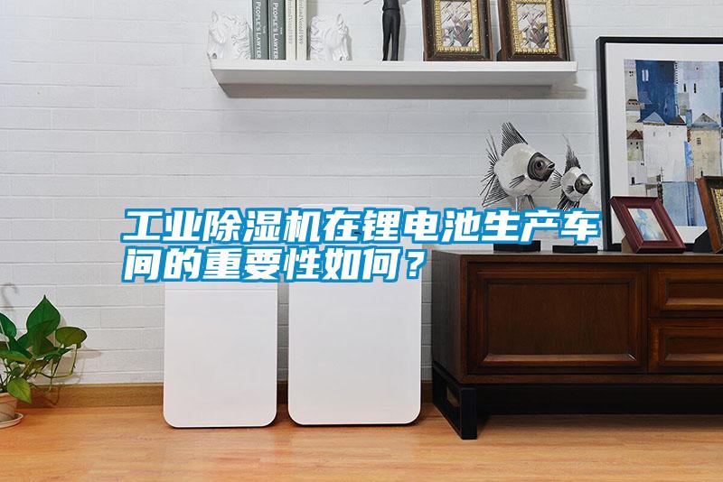工業(yè)除濕機(jī)在鋰電池生產(chǎn)車間的重要性如何？
