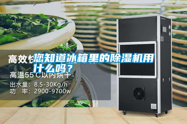 您知道冰箱里的除濕機(jī)用什么嗎？