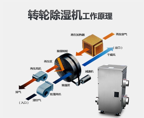 如何買(mǎi)到高性?xún)r(jià)比除濕機(jī)？看完這里你就懂了