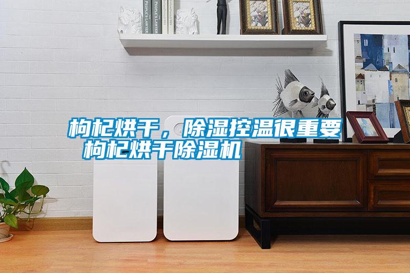 枸杞烘干，除濕控溫很重要 枸杞烘干除濕機