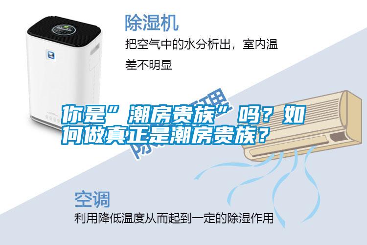 你是”潮房貴族”嗎？如何做真正是潮房貴族？