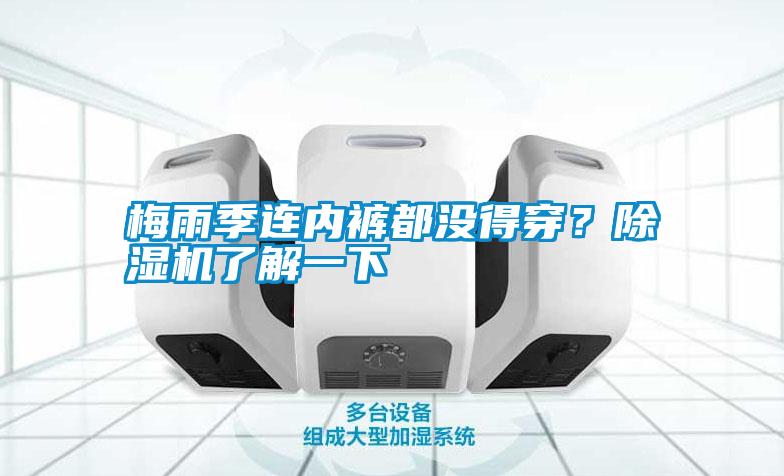 梅雨季連內(nèi)褲都沒得穿？除濕機了解一下