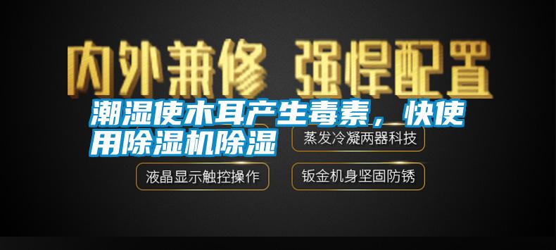 潮濕使木耳產(chǎn)生毒素，快使用除濕機(jī)除濕