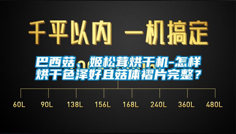 巴西菇、姬松茸烘干機(jī)-怎樣烘干色澤好且菇體褶片完整？