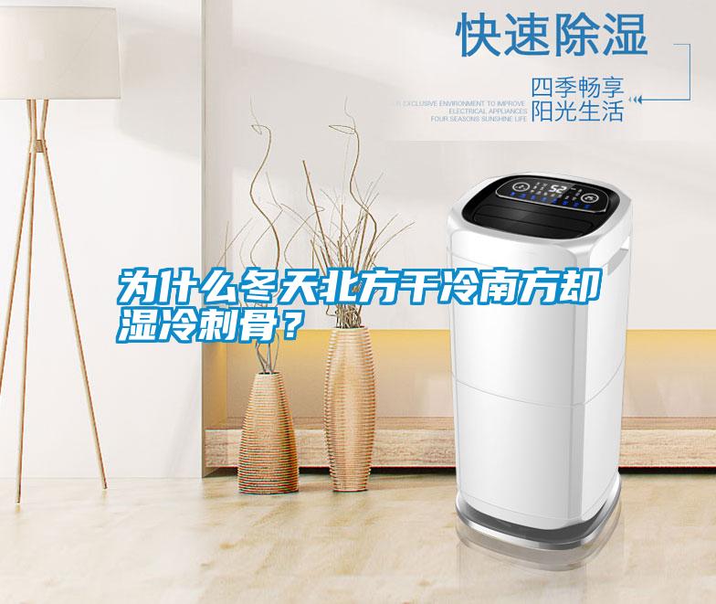 為什么冬天北方干冷南方卻濕冷刺骨？