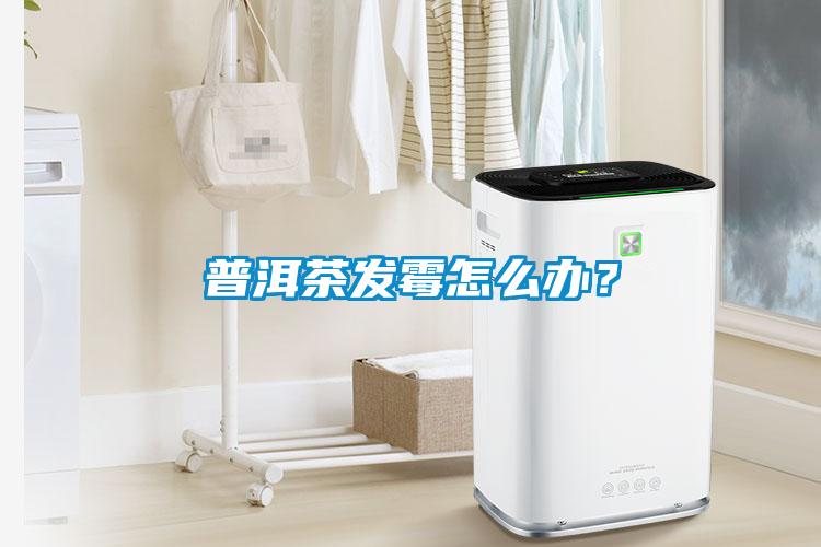 普洱茶發(fā)霉怎么辦？