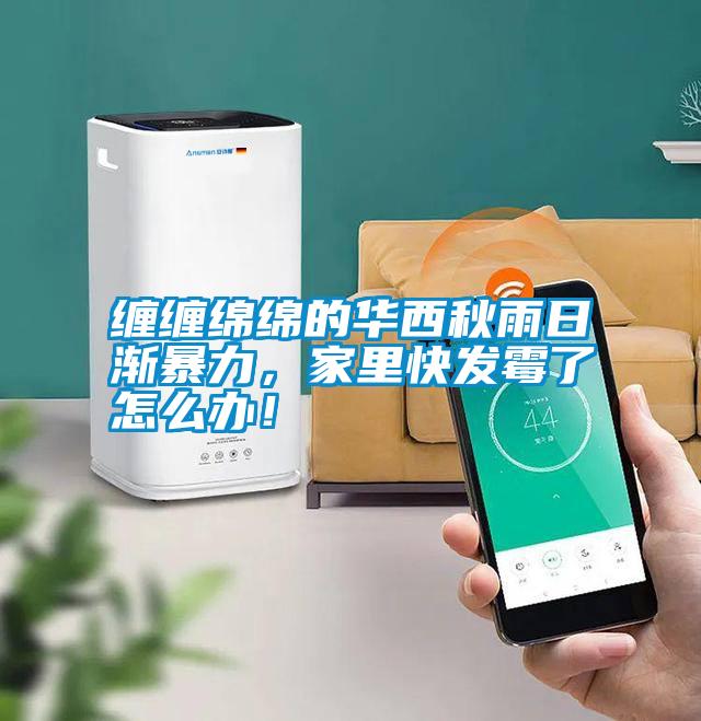 纏纏綿綿的華西秋雨日漸暴力，家里快發(fā)霉了怎么辦！