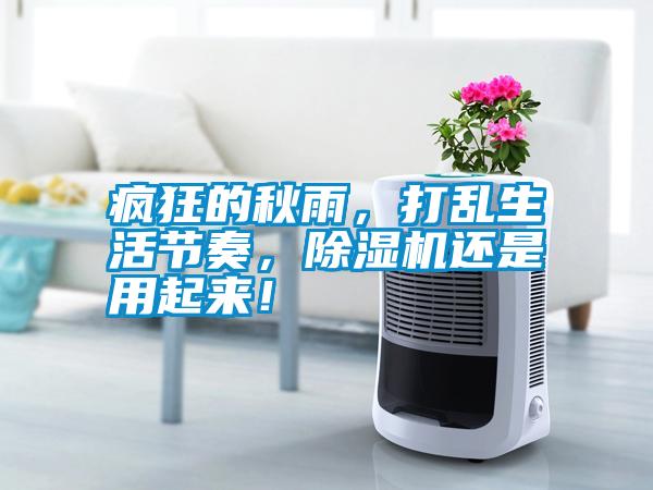 瘋狂的秋雨，打亂生活節(jié)奏，除濕機還是用起來！