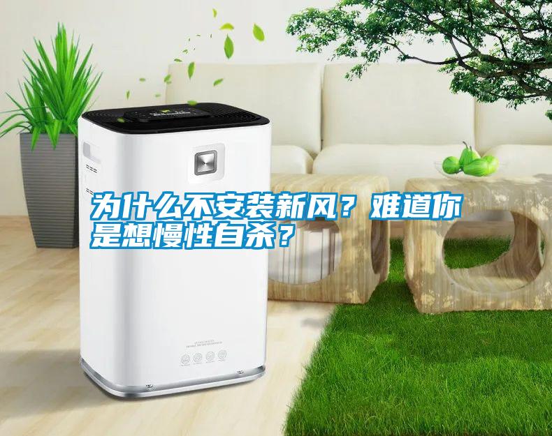 為什么不安裝新風(fēng)？難道你是想慢性自殺？