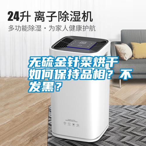 無硫金針菜烘干如何保持品相？不發(fā)黑？