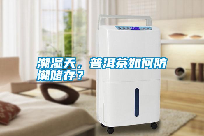 潮濕天，普洱茶如何防潮儲(chǔ)存？