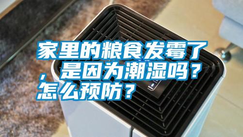 家里的糧食發(fā)霉了，是因?yàn)槌睗駟幔吭趺搭A(yù)防？