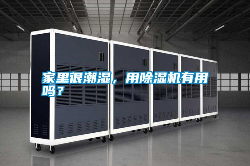 家里很潮濕，用除濕機有用嗎？