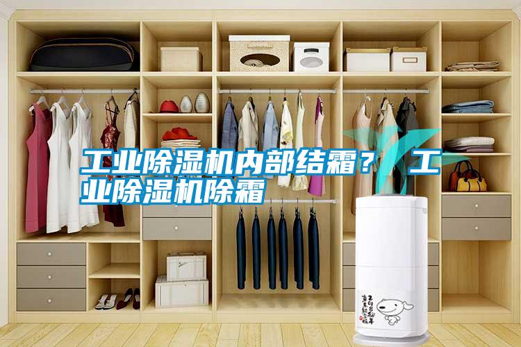 工業(yè)除濕機內(nèi)部結(jié)霜？ 工業(yè)除濕機除霜