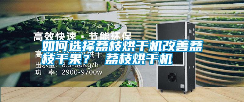 如何選擇荔枝烘干機(jī)改善荔枝干果？ 荔枝烘干機(jī)