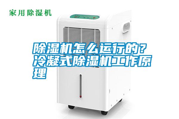 除濕機怎么運行的？冷凝式除濕機工作原理
