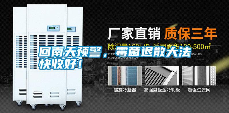 回南天預(yù)警，霉菌退散大法快收好！