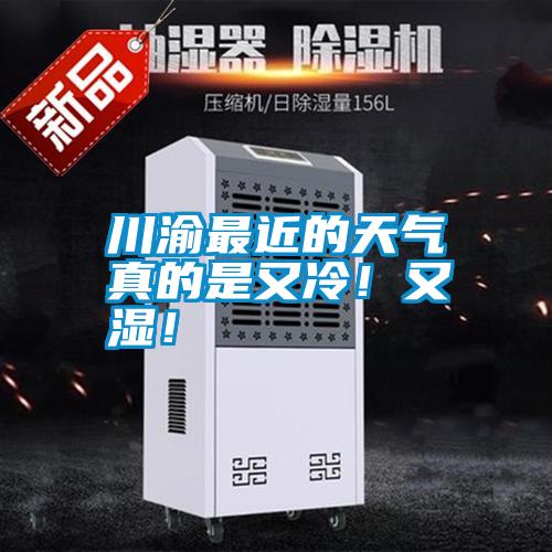 川渝最近的天氣真的是又冷！又濕！