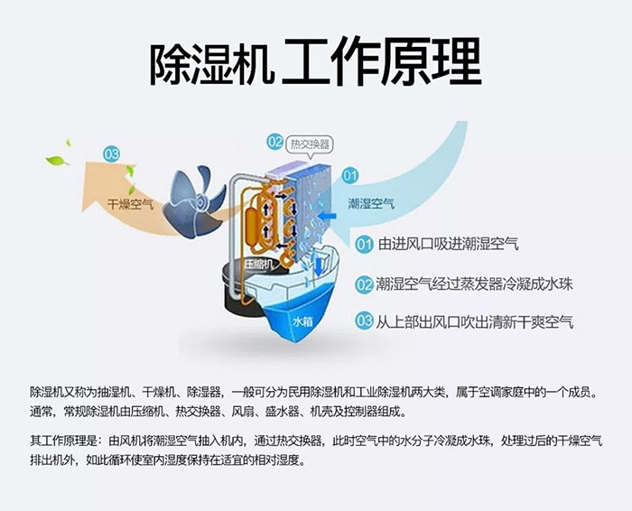 什么品牌除濕機(jī)好？買除濕機(jī)前先來看看