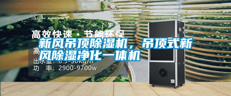 新風吊頂除濕機，吊頂式新風除濕凈化一體機