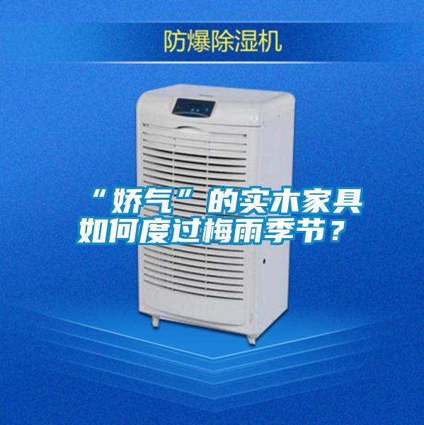 “嬌氣”的實(shí)木家具如何度過梅雨季節(jié)？