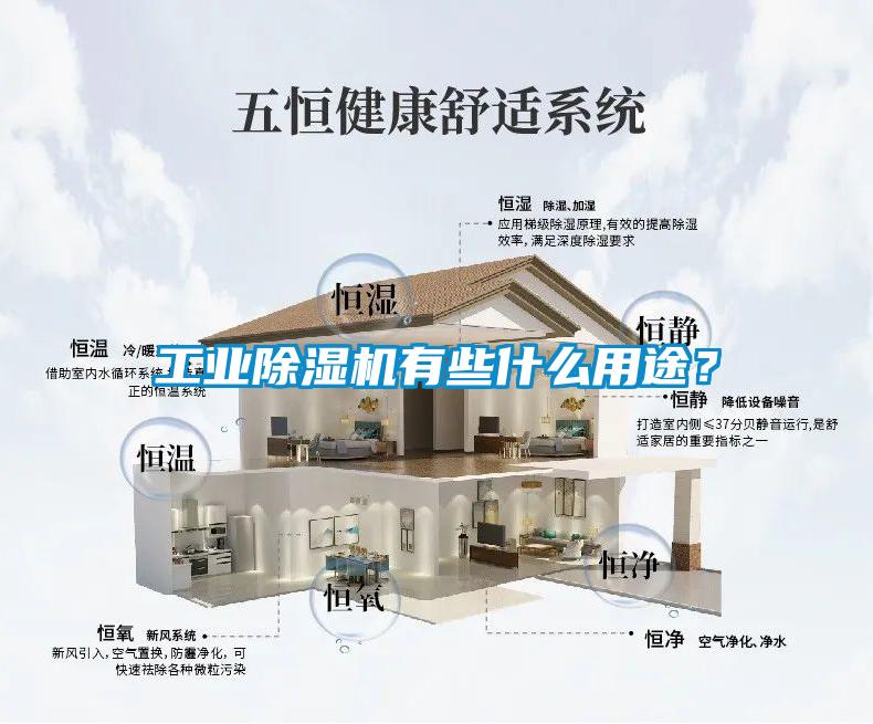 工業(yè)除濕機(jī)有些什么用途？