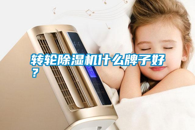 轉(zhuǎn)輪除濕機(jī)什么牌子好？