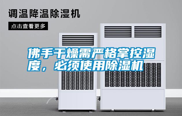 佛手干燥需嚴(yán)格掌控濕度，必須使用除濕機(jī)