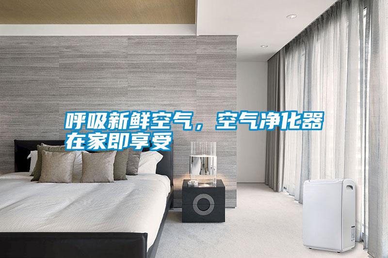 呼吸新鮮空氣，空氣凈化器在家即享受