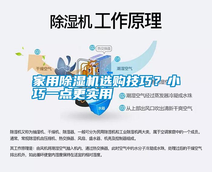 家用除濕機(jī)選購技巧？小巧一點(diǎn)更實(shí)用