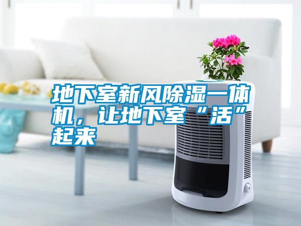 地下室新風除濕一體機，讓地下室“活”起來